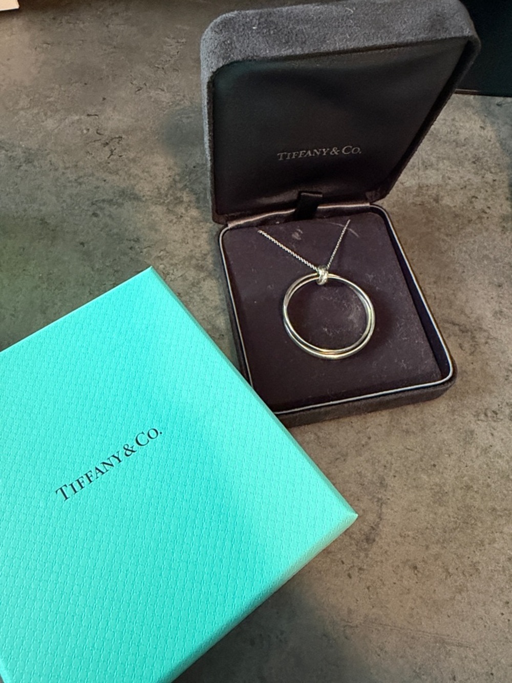 Tiffany & Co. Silver Paloma's Melody Circle Pendant Necklace